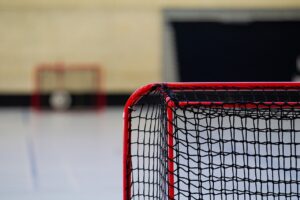 hockey, goal, net, sport, match, indoors